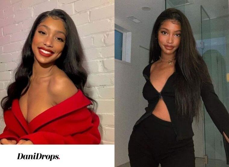 27 cores de cabelo para morenas 2023 Cores de cabelo para morenas 2023